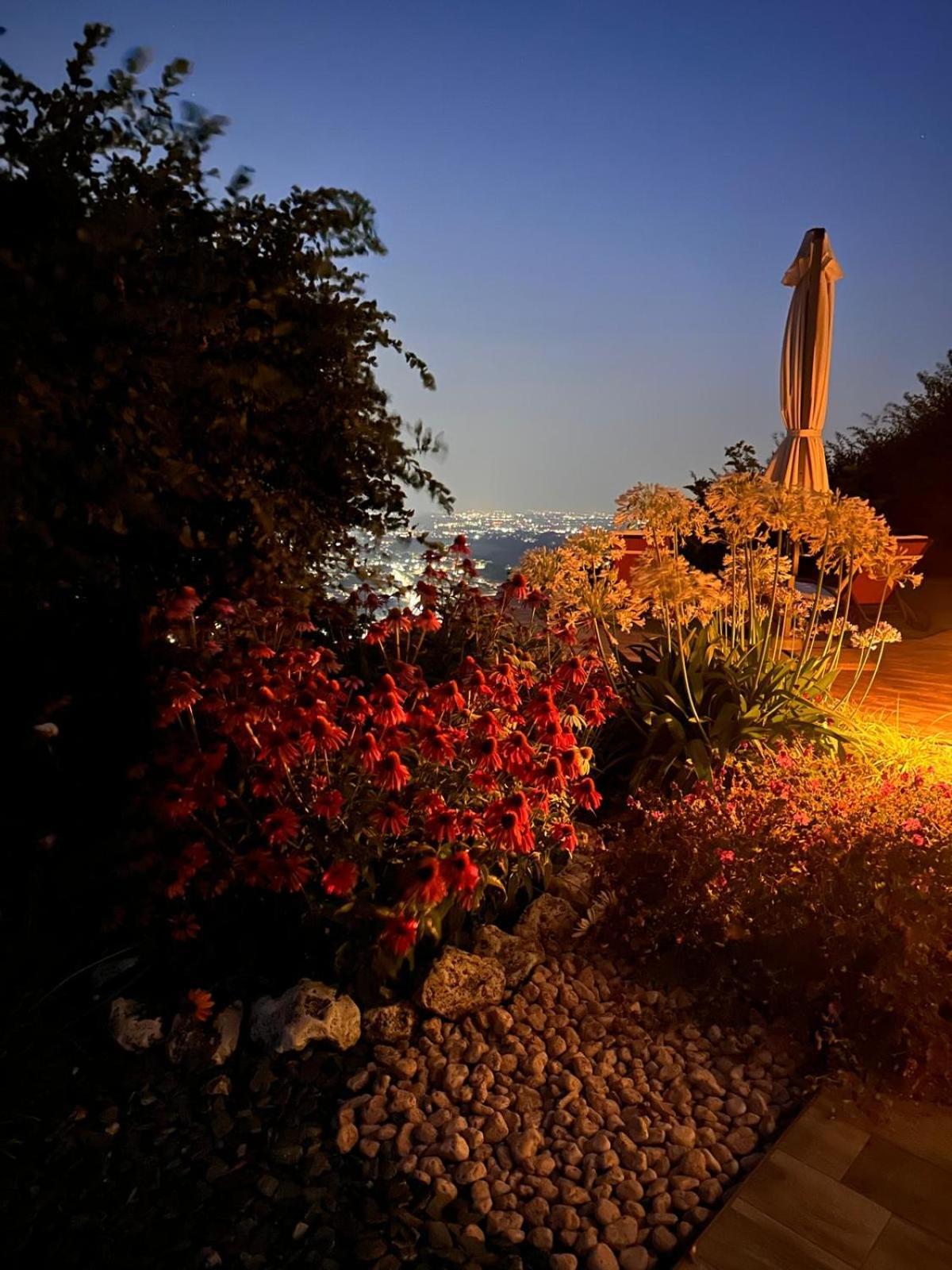 Villa dʼAlmè Le Lanterne Bed & Breakfast エクステリア 写真